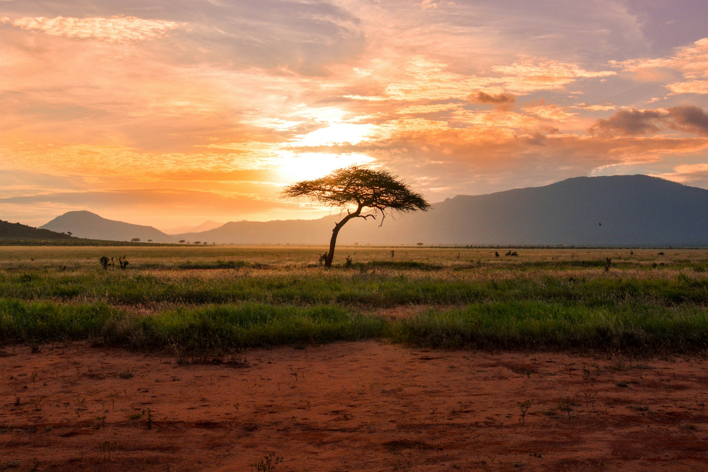 Kenyan landscape at golden hour